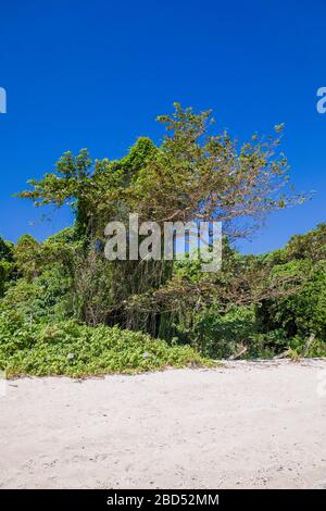 Spiaggia di Tambisaan Isola di boracay, Filippine. Foto Stock