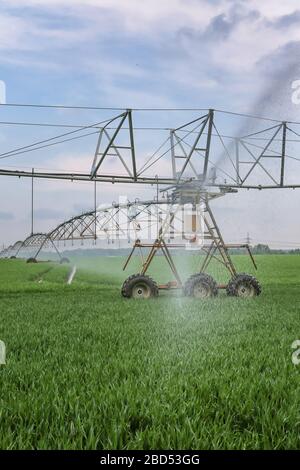 Grande sistema di irrigazione su campo verde in Germania Foto Stock