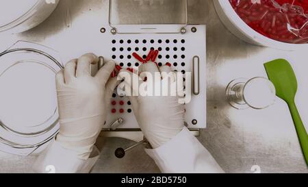 Capsule a due mani in laboratorio farmaceutico con macchina manuale. Vista dall'alto Foto Stock