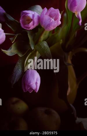 Un bouquet di tulipani lilla in un vaso verde con mele verdi ricoperte di gocce di pioggia su fondo nero Foto Stock