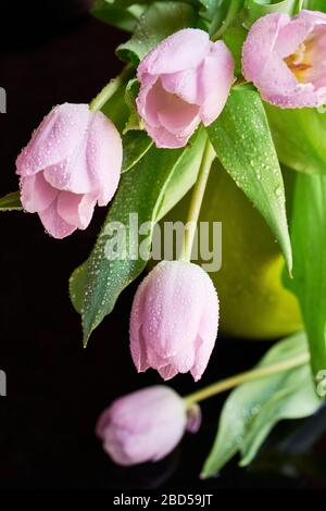 Un bouquet di tulipani lilla in un vaso verde coperto di gocce di pioggia su fondo nero Foto Stock