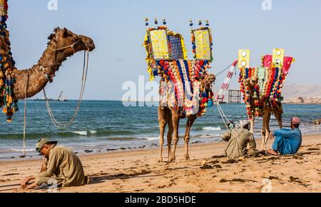 Tushan Beach, Keemari, Karachi, Sindh, Pakistan, giro in cammello e cavallo in attesa per i clienti nel pomeriggio Foto Stock