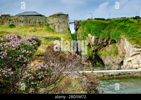 Fort Dunree è una fortificazione costiera di difesa situata sul lato ovest della penisola di Inishowen, contea di Donegal, Irlanda. Foto Stock