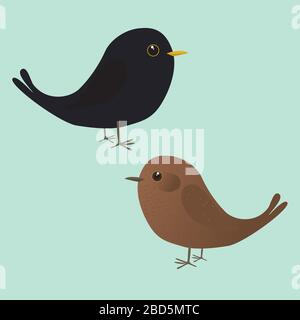 Un paio di carina illustrazione di uccelli neri. È un uccello maschio e una femmina Illustrazione Vettoriale