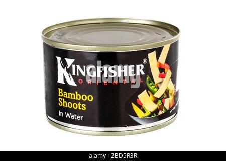 Kingfisher Oriental Bamboo Shoots, Bamboo Shoots, Tinned Bamboo Shoots, Bamboo Shoots Tin, Bamboo Shoots in stagno, stagno, lattina, in scatola, in scatola, in scatola, ingrediente Foto Stock