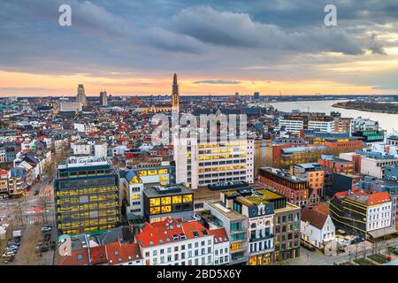 Anversa, Belgio paesaggio urbano dall'alto al crepuscolo. Foto Stock