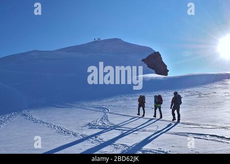 Vista posteriore degli alpinisti che salgono sul Ghiacciaio Lys torwards Ludwigshohe cima nel gruppo Monte Rosa, Alpi, Italia Foto Stock