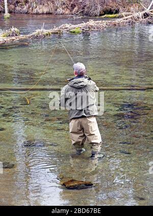 Un pescatore della mosca getta per una trota iridata aumentante sul fiume di caduta nell'Oregon centrale nell'inizio di primavera. Foto Stock