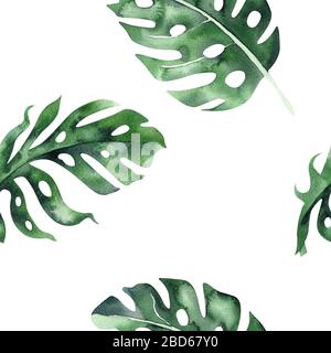 Set di bright acquerello foglie tropicali. Foglie e rami dalla giungla. Foto Stock