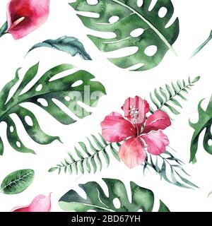 Set di bright acquerello foglie tropicali. Foglie e rami dalla giungla. Foto Stock