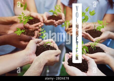 Salva la Terra insieme. Gruppo di persone che detengono piante verdi con sporcizia nelle loro mani e volontario di parola, collage Foto Stock