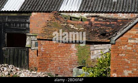 Un edificio di fattoria e fienile derelict con un tetto di tegole collassato Foto Stock