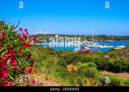 Porto Cervo, Sardegna / Italia - 2019/07/20: Vista panoramica del porto di yacht di lusso, del porto turistico e delle residenze di Porto Cervo nella località della Costa Smeralda Foto Stock