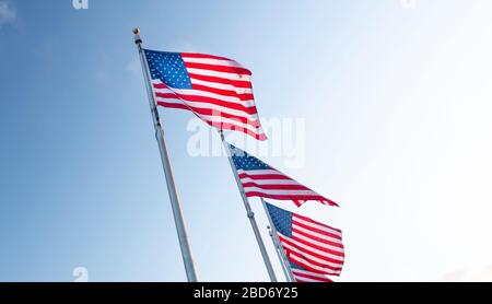 Bandiera degli stati Uniti d'America, USA Foto Stock