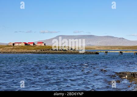 Porto di Darwin con il Monte Usborne sullo sfondo, Falkland orientale, Isole Falkland, Falklands Foto Stock