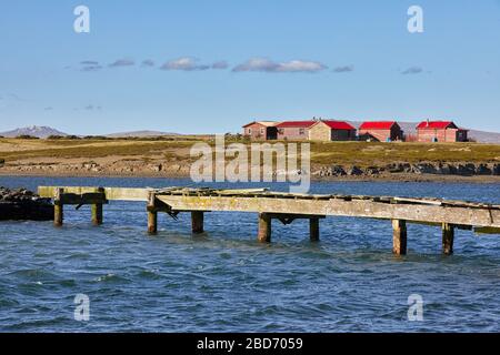 Case con tetti rossi a Darwin Harbour, Falkland orientale, Isole Falkland, Falklands Foto Stock