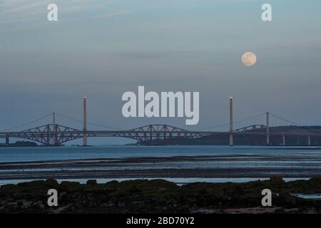 Blackness, Regno Unito. 7 Aprile 2020. Nella foto: La Supermoon di aprile sorge sulla costa orientale della Scozia nel cielo serale e quest'anno apparirà più grande nel cielo notturno di qualsiasi altra luna. La Luna di questa sera sarà alla sua massima luminosità nelle prime ore di mercoledì 8 aprile, quando la Luna sarà vicina al suo perigeo - o il punto nella sua orbita che è più vicina alla Terra. Questa vicinanza fornirà l'aspetto più grande della Luna per tutto l'anno, comunemente chiamato una Superluna. Credit: Colin Fisher/Alamy Live News Foto Stock