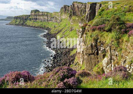 Colonne basaltiche su base di pietra arenaria a Valtos vicino Staffin sulla costa trotternish, Isola di Skye, Scozia Foto Stock