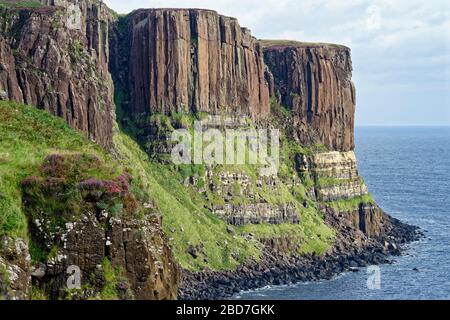 Colonne di basalto su base di pietra arenaria di Kilt Rock vicino Staffin sulla costa Trotternish, Isola di Skye in Scozia Foto Stock