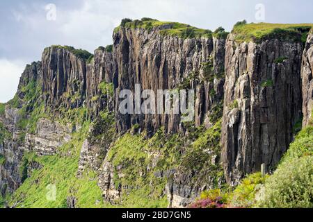 Colonne basaltiche su base di pietra arenaria a Valtos vicino Staffin sulla costa trotternish, Isola di Skye, Scozia Foto Stock