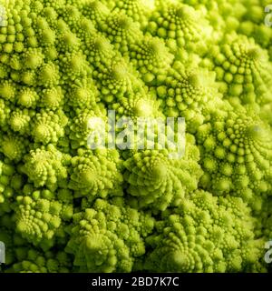 Romanesco broccoli o cavolfiore romano con la sua forma frattale Foto Stock
