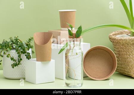 Contenitori per alimenti su piedistalli, piante incapsulate e diramazione in bottiglia Foto Stock