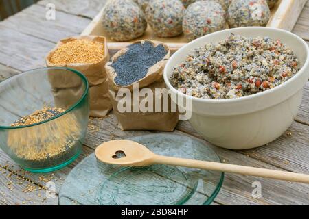 fai-da-te palle di grasso di uccello, fase uno: ingredienti: cibo ricco di grassi, semi di papavero, semi di miglio Foto Stock