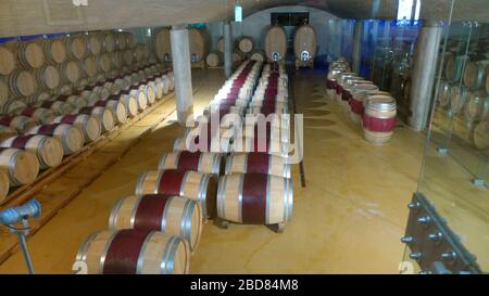 Cantina con botti di rovere, Sudafrica Foto Stock