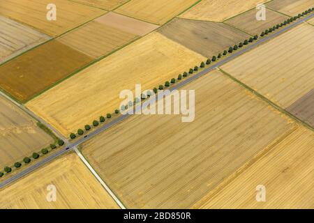 , strada di campagna e percorso di campo tra campi di mais raccolti a Holzheim, 24.07.2014, vista aerea, Germania, Renania-Palatinato, Holzheim Foto Stock