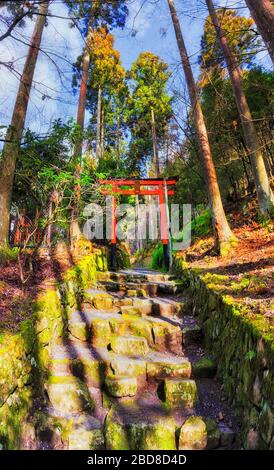 Porta in legno rossa storica nel villaggio di Ohara in Giappone sulla cima di scale di pietra in pinete. Foto Stock