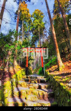 Vicino alla storica porta di legno rossa nel villaggio di Ohara in Giappone sulla cima di scalini in pietra in pinete. Foto Stock