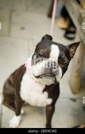 Whitecross Street Market, Islington, Londra Foto Stock