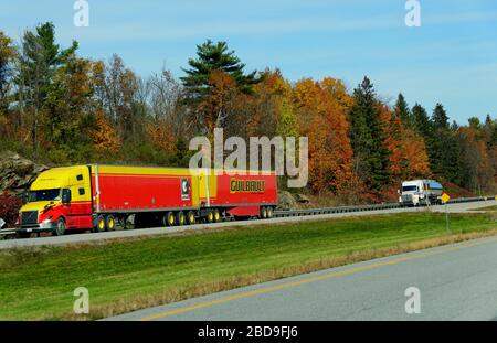 Ontario, Canada - 27 ottobre 2019 - la vista del grande camion rosso sulla Route 401 autostrada con splendida fogliame autunnale Foto Stock