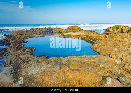 California Coast Highway 01 Ocean Pacific Fort Bragg Foto Stock