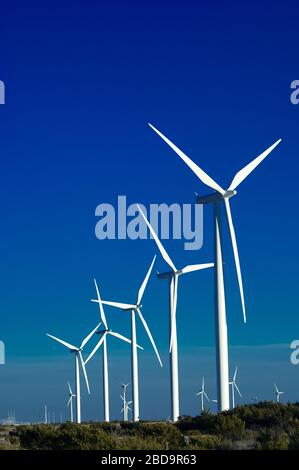 Un gruppo di turbine eoliche con sfondo blu cielo Foto Stock