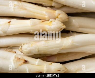 07 aprile 2020, Brandeburgo, Beelitz/OT Schäpe: Gli asparagi appena raccolti si trovano in una cassa all'inizio ufficiale della stagione alla Josef Jakobs Spargel Hof Foto: Soeren Stache/dpa-Zentralbild/dpa Foto Stock