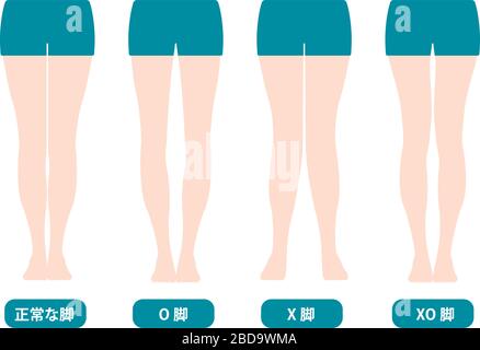 Tipi di differenza di angoli delle gambe e delle ginocchia, illustrazione vettoriale (giapponese) Illustrazione Vettoriale