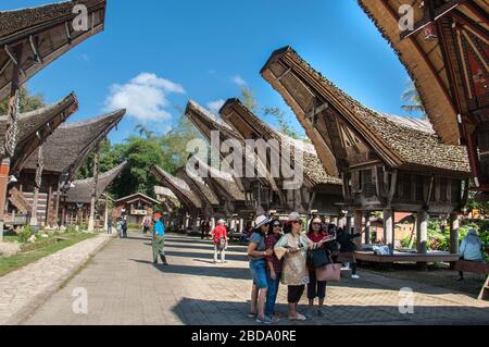 Case tradizionali della tribù Toraja al complesso Ke'te Kesu a nord Toraja di Indonesia. Tana Toraja situato nel sud Sulawesi è uno dei punti di forza o Foto Stock