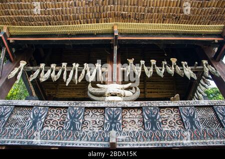 Ossa di bufali appesi sulla casa tradizionale tribù Toraja. Tana Toraja situato nel sud Sulawesi è uno dei punti di forza del turismo indonesiano. Il reg Foto Stock