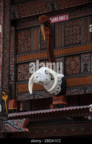 Ornamento di testa di bufalo di fronte alla casa tradizionale della tribù Toraja. Tana Toraja situata a South Sulawesi è una delle attrazioni principali dell'Indonesia touris Foto Stock