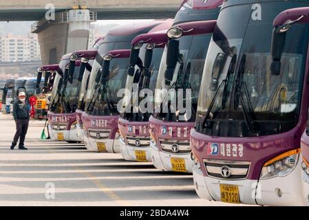 Turismo colpito dal nuovo coronavirus, 6 aprile 2020 : UN conducente è visto di fronte a tour bus che ha smesso di funzionare in mezzo alla diffusione del COVID-19 in un parcheggio a Seoul, Corea del Sud. Il primo ministro sudcoreano Chung Sye-Kyun ha detto il 8 aprile che il paese sospenderà temporaneamente i programmi di ingresso e di esenzione dal visto senza visto con paesi che impongono divieti di ingresso ai coreani, poiché la Corea del Sud tenta di bloccare i casi importati di coronavirus COVID-19, i media locali hanno riferito. Credito: Lee Jae-won/AFLO/Alamy Live News Foto Stock