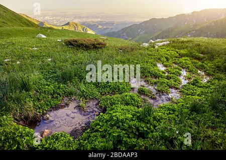 Il paesaggio della valle di montagna con il fiume e prato verde a sunrise sfondo cielo Foto Stock