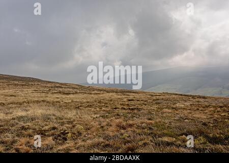 Foggy Ticknock paesaggio di montagna con brughiera, Dublino, Irlanda Foto Stock