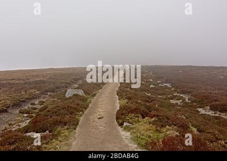 Sentiero escursionistico attraverso la brughiera sulle montagne di Ticknock nebbia, Dublino, Irlanda Foto Stock