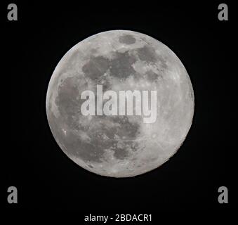 Brighton, Regno Unito. 07 aprile 2020 UNA luna super vista da Brighton in Sussex, Regno Unito questo spettacolo ha chiamato la "luna pachale" che deriva dalla parola greca per la Pasqua, come la sua prima luna piena ad essere apparso dopo l'Equinox di primavera. Il fenomeno Supermoon si verifica quando la luna piena coincide con la luna che si trova nel punto orbitale più vicino alla Terra, e può apparire intorno al 30 per cento più luminosa della luna standard C e fino al 14 per cento più grande. Credit: James Boardman / Alamy Live NewsBrighton, UK. 07 aprile 2020 UNA Super luna rosa sorge dietro il mulino a vento Beacon a Rottingdean, la classifica di grado II Foto Stock