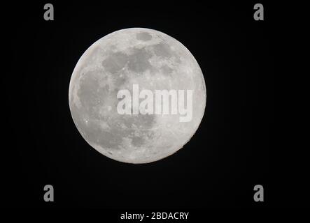 Brighton, Regno Unito. 07 aprile 2020 UNA luna super vista da Brighton in Sussex, Regno Unito questo spettacolo ha chiamato la "luna pachale" che deriva dalla parola greca per la Pasqua, come la sua prima luna piena ad essere apparso dopo l'Equinox di primavera. Il fenomeno Supermoon si verifica quando la luna piena coincide con la luna che si trova nel punto orbitale più vicino alla Terra, e può apparire intorno al 30 per cento più luminosa della luna standard C e fino al 14 per cento più grande. Credit: James Boardman / Alamy Live NewsBrighton, UK. 07 aprile 2020 UNA Super luna rosa sorge dietro il mulino a vento Beacon a Rottingdean, la classifica di grado II Foto Stock