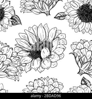 Girasoli vettoriali motivo senza cuciture, fiori realistici disegnati a mano, adatti per il design di stampaggio a caldo Illustrazione Vettoriale