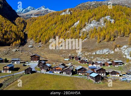 La frazione di Satarma ai piedi di una foresta di larici in colori vivaci autunnali, Val d'Herens, Eringertal, Vallese, Svizzera Foto Stock