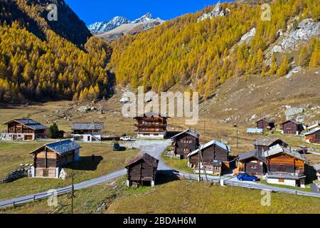 La frazione di Satarma ai piedi di una foresta di larici in colori vivaci autunnali, Val d'Herens, Eringertal, Vallese, Svizzera Foto Stock