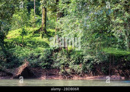 Paesaggio da sogno di un fiume tropicale circondato da una foresta lussureggiante. Rio Sarapiqui, Costa Rica. Foto Stock